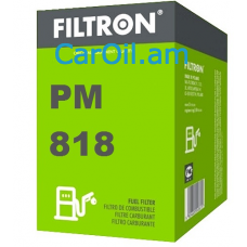 Filtron PM 818